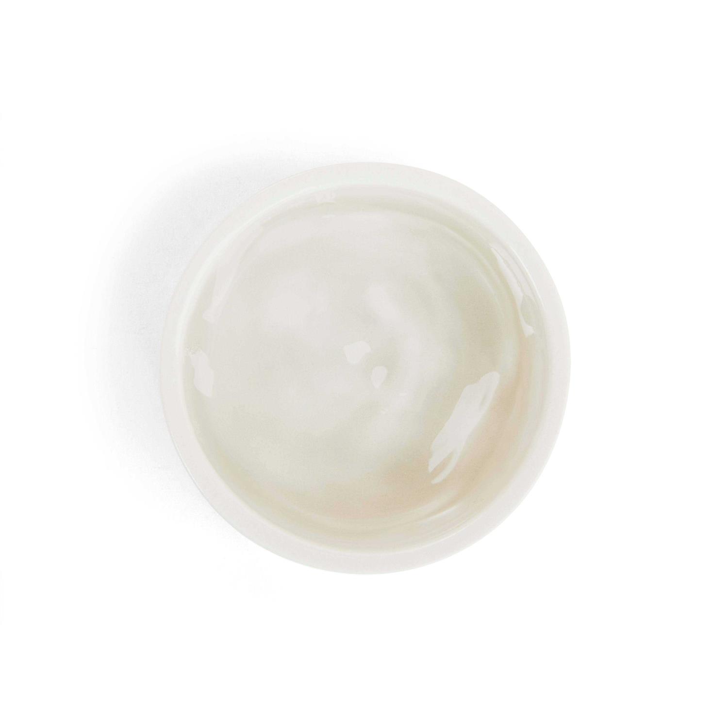 EveryYay Dining in Small Animal Bowl - Nail Gallerys