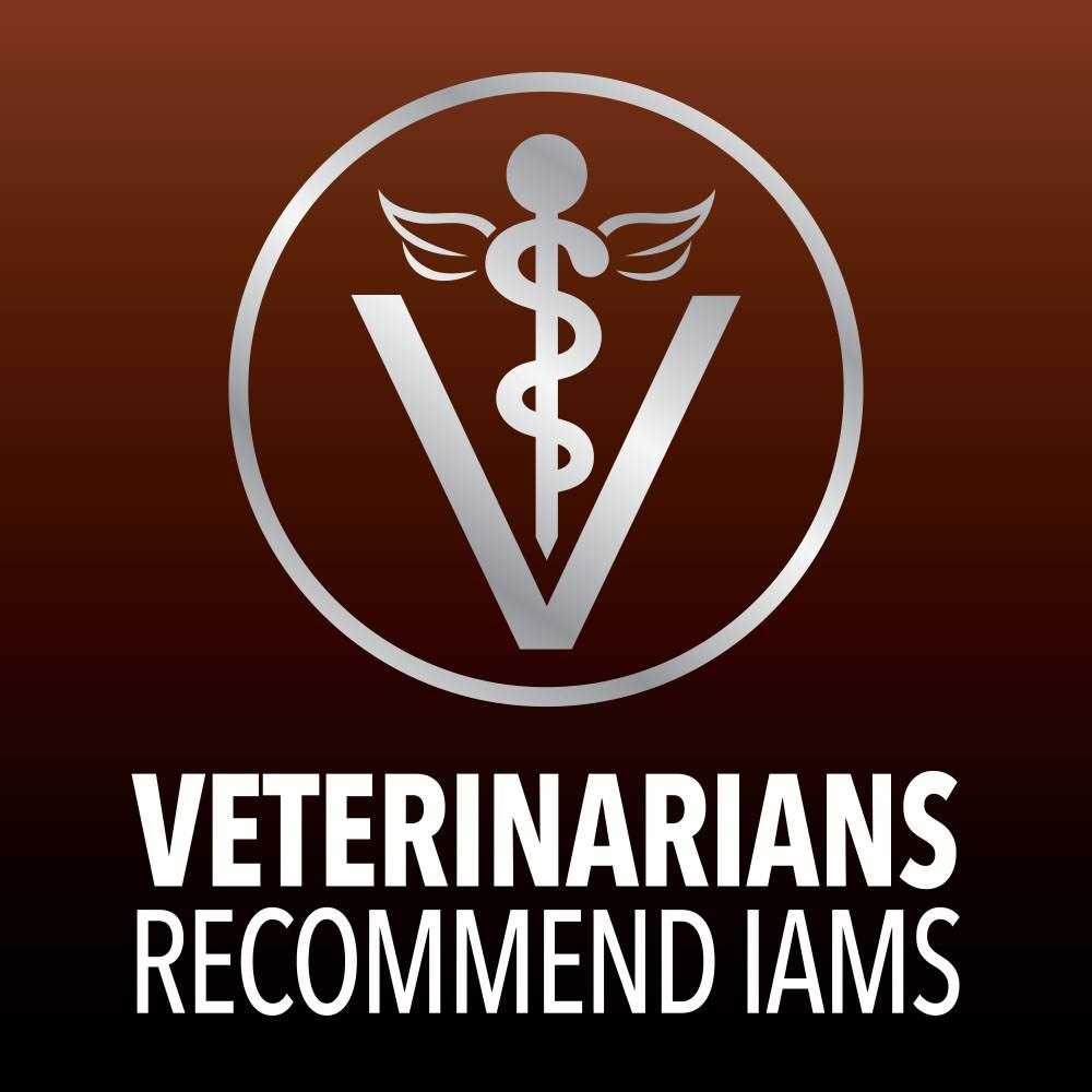 Iams Advanced Health Healthy Digestion Turkey & Chicken Recipe Adult Dry Cat Food - Nail Gallerys