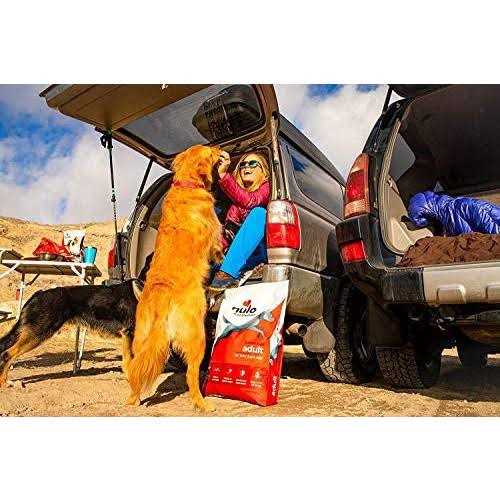 Nulo Frontrunner Turkey Dry Dog Food - Nail Gallerys