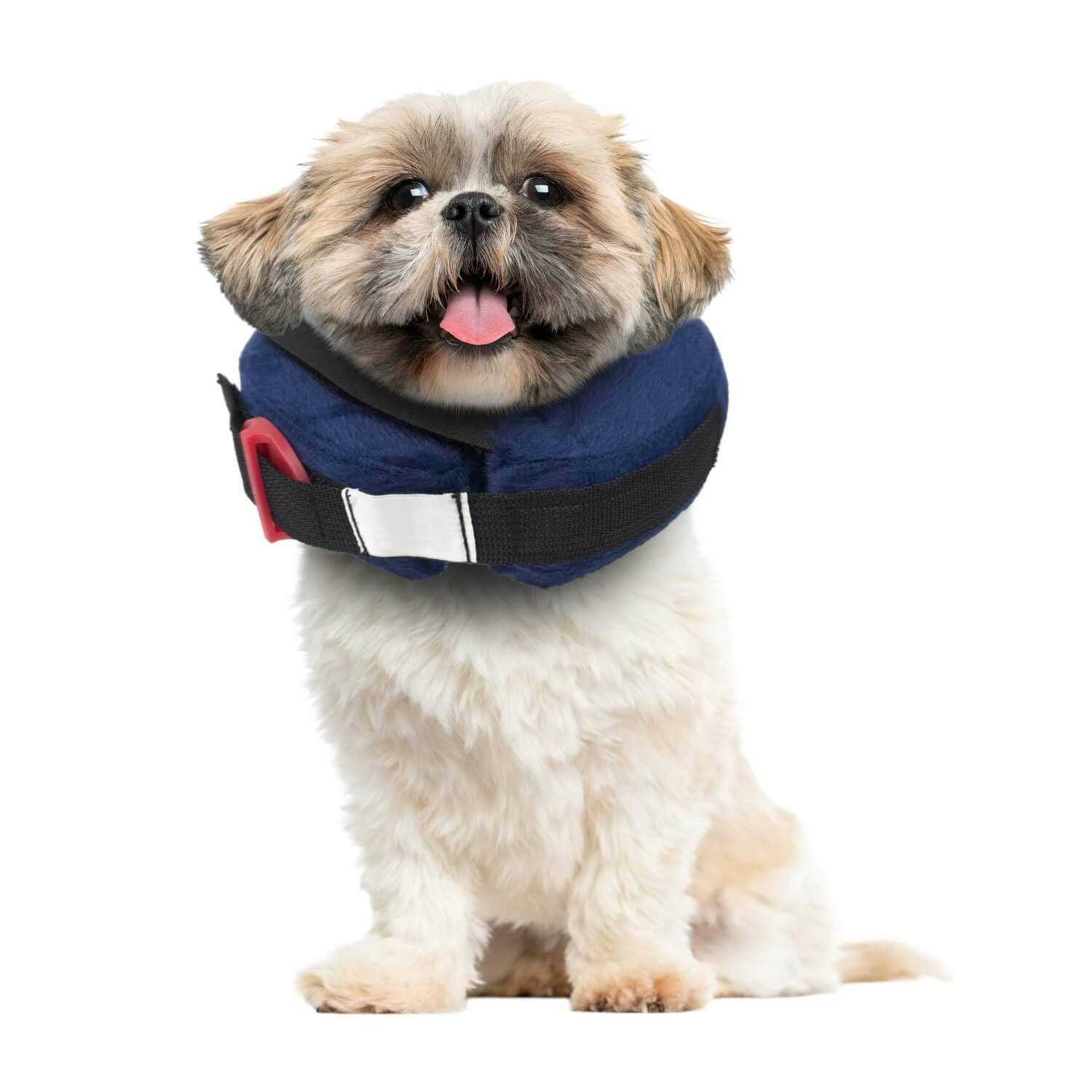 Calm Paws Inflatable Protective Collar - Nail Gallerys