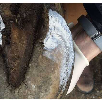 Artimud Hoof Clay 750g - Nail Gallerys