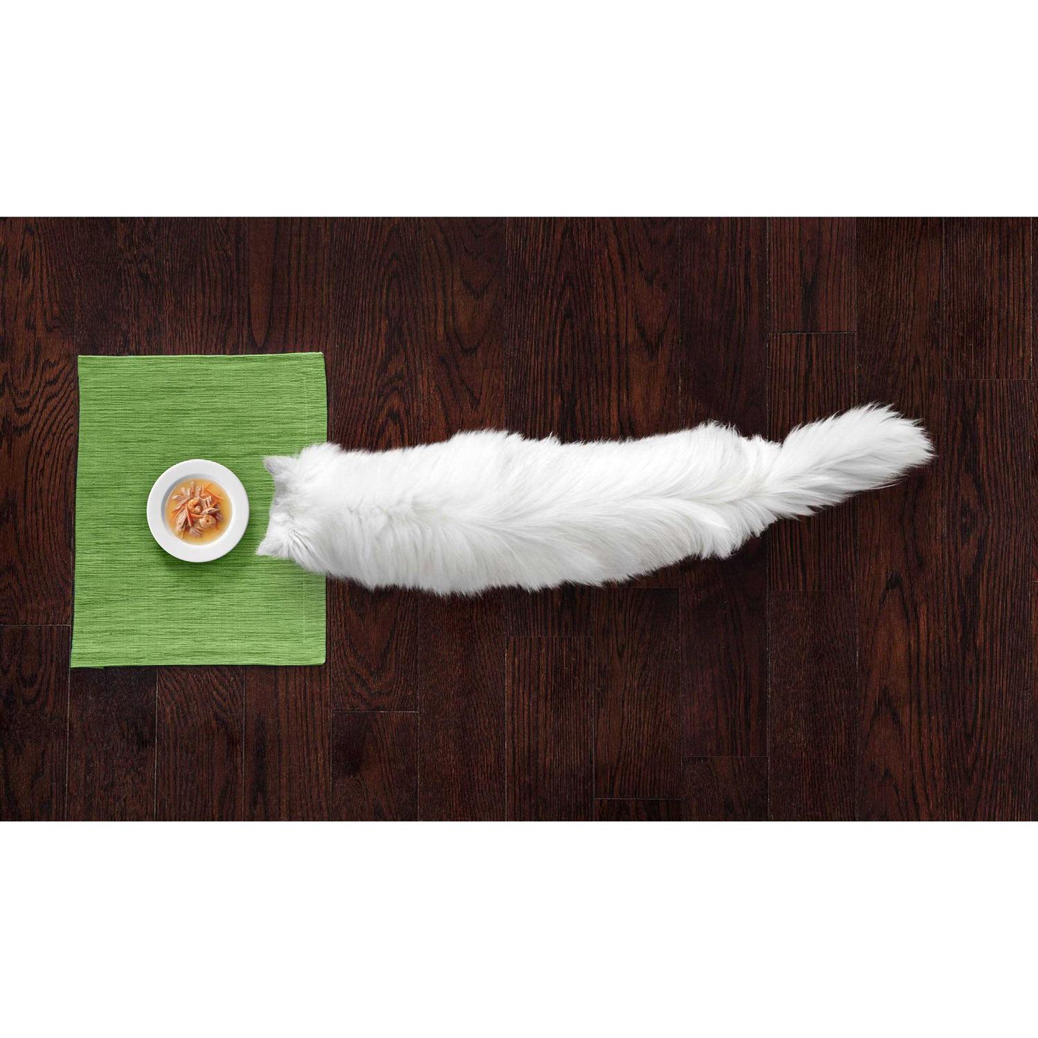 Fancy Feast Broths Cat - Nail Gallerys