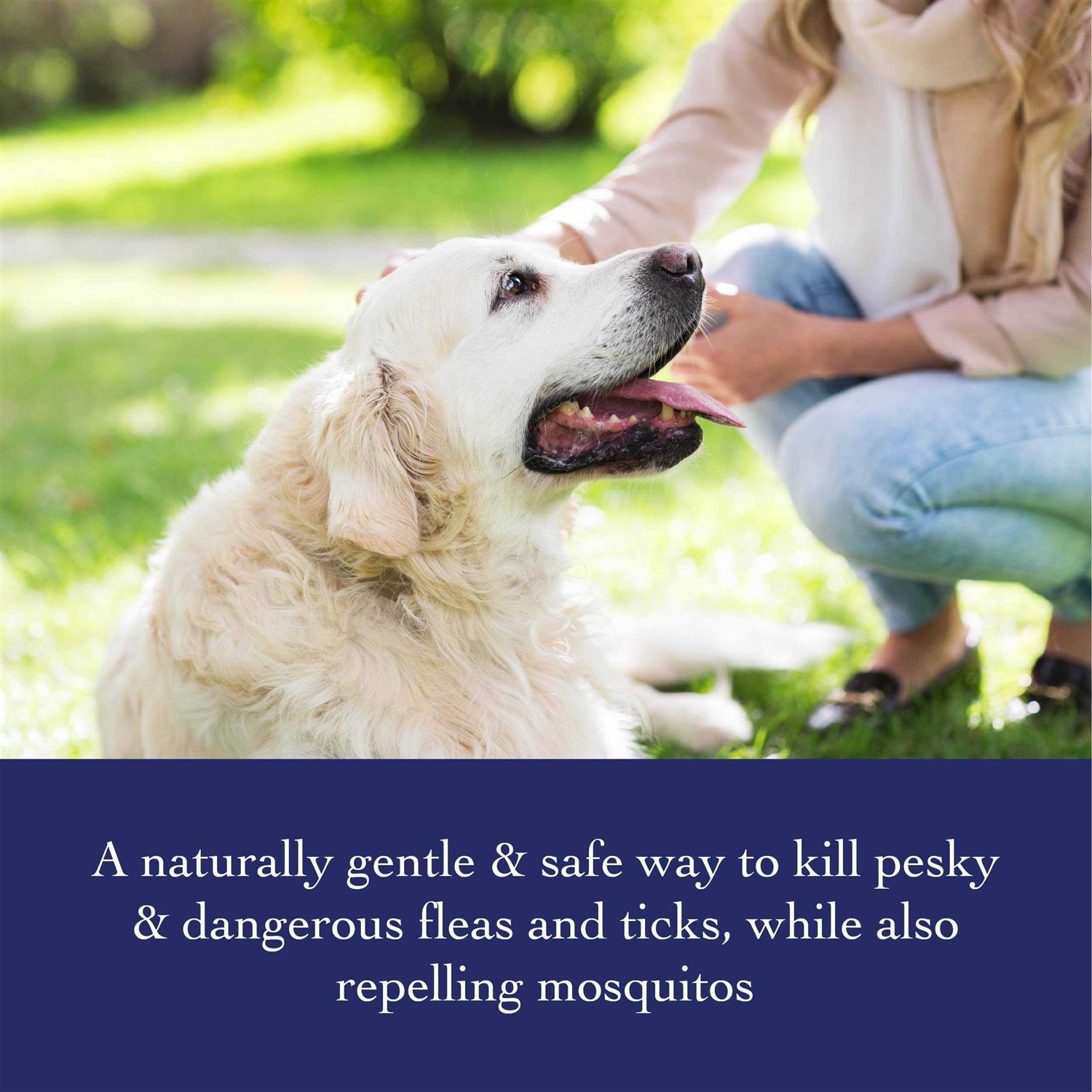 Richard’s Organics Flea & Tick Shampoo - Nail Gallerys