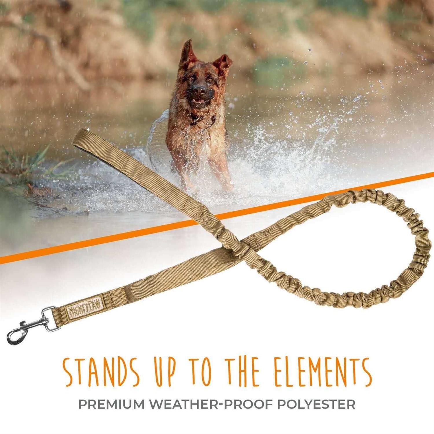 Mighty Paw Dual Handle Dog Leash Two Handles - Nail Gallerys