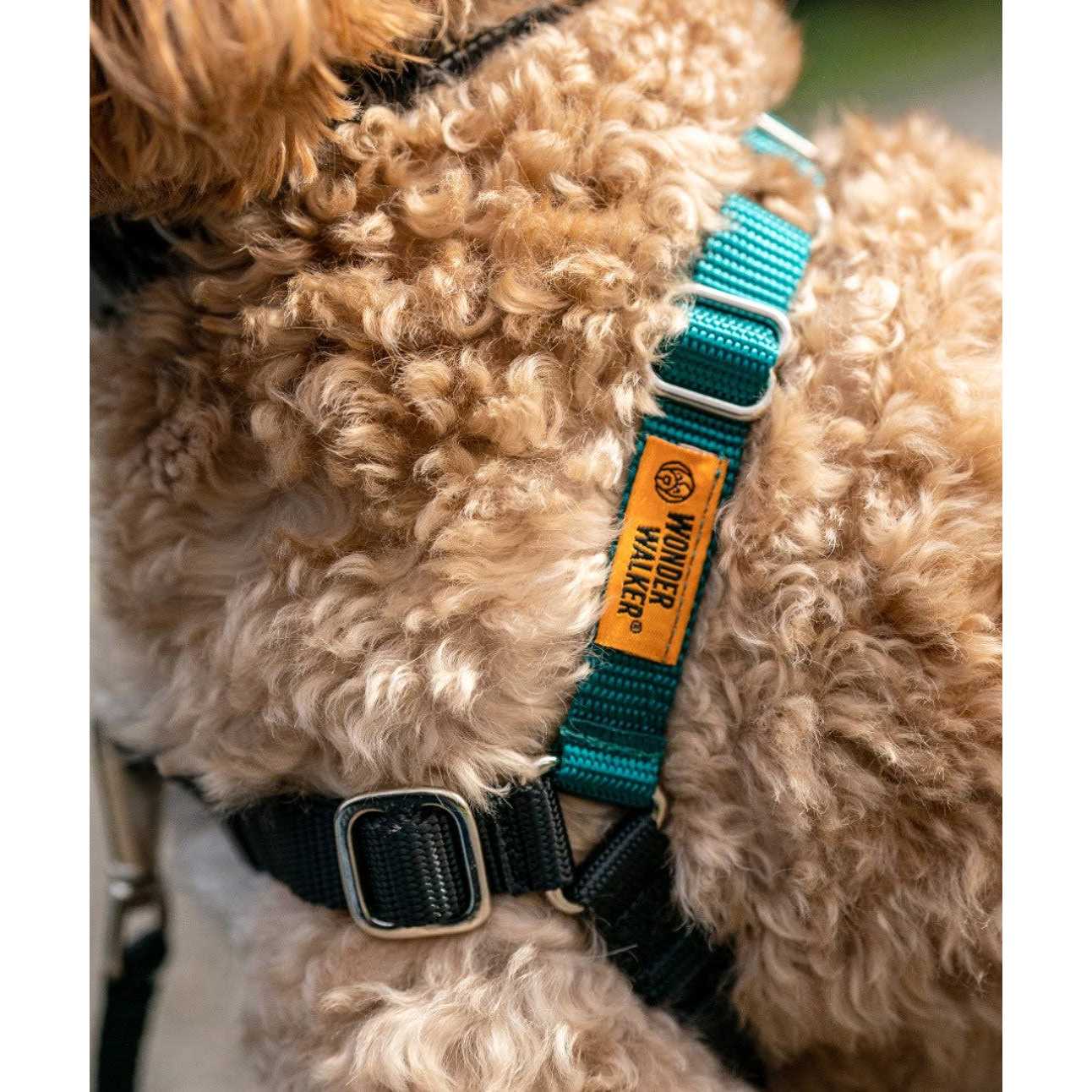 Wonder Walker Body Halter Dog Harness - Nail Gallerys