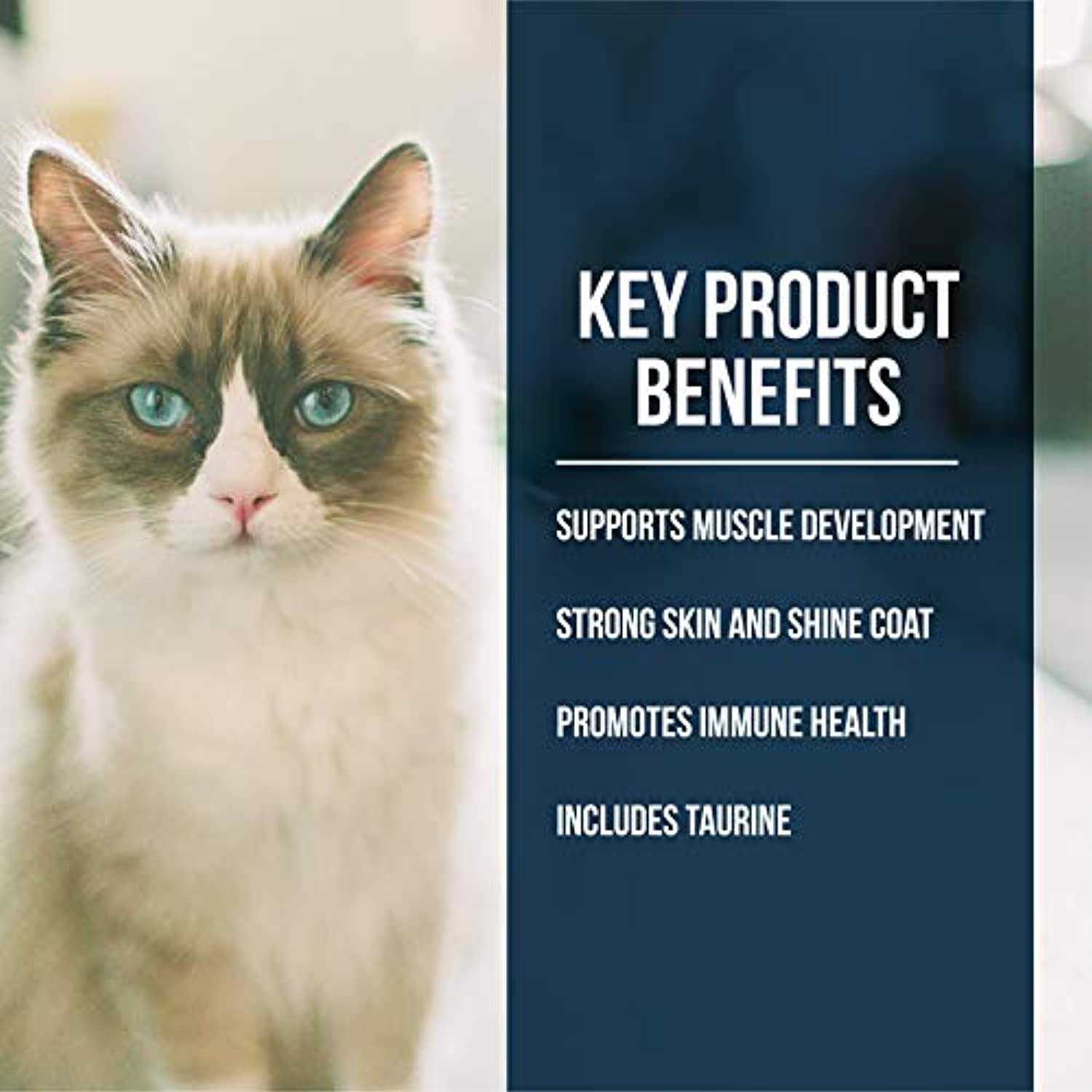 Fussie Cat Dry Cat Food Market Fresh Salmon - Nail Gallerys