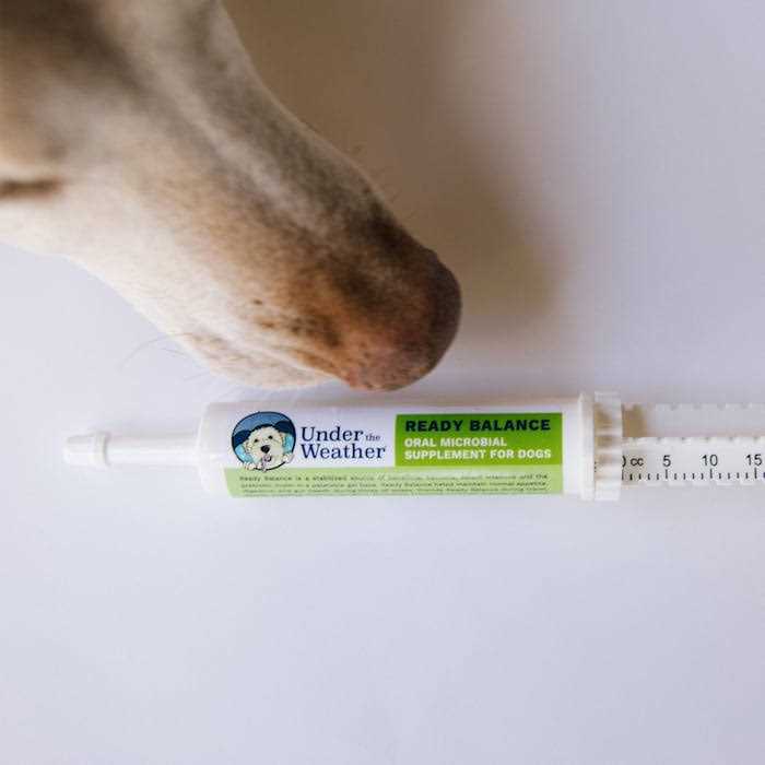 Under the Weather Ready Balance for Dogs - Nail Gallerys