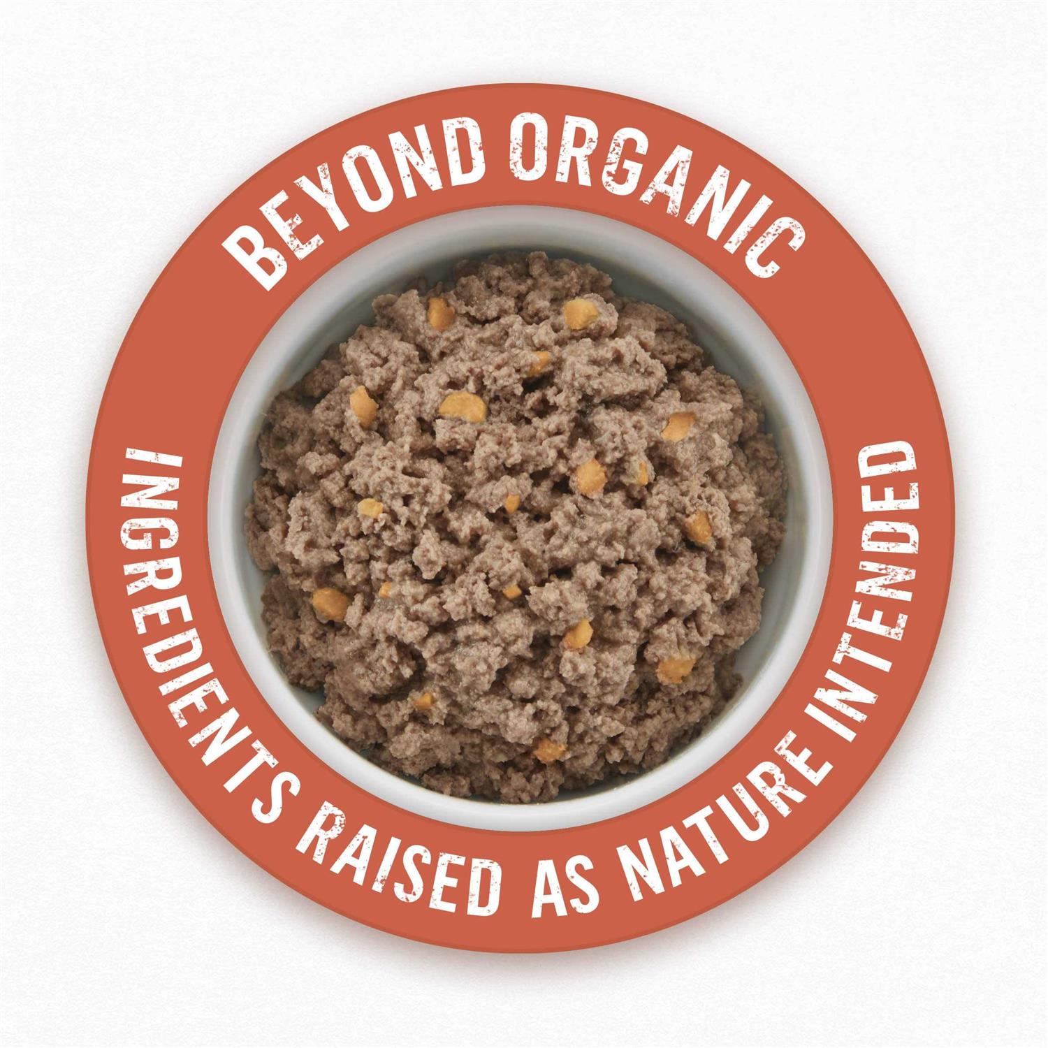 Purina Beyond Organic Chicken Recipe Wet Dog Food - Nail Gallerys