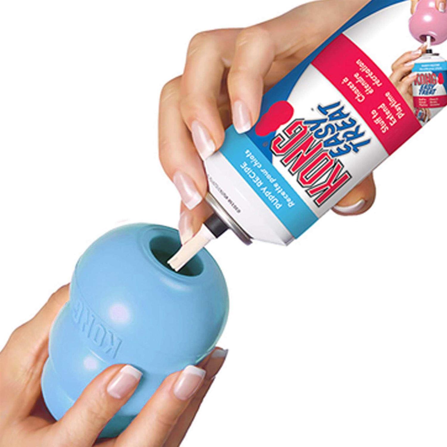 KONG Puppy Toy - Nail Gallerys