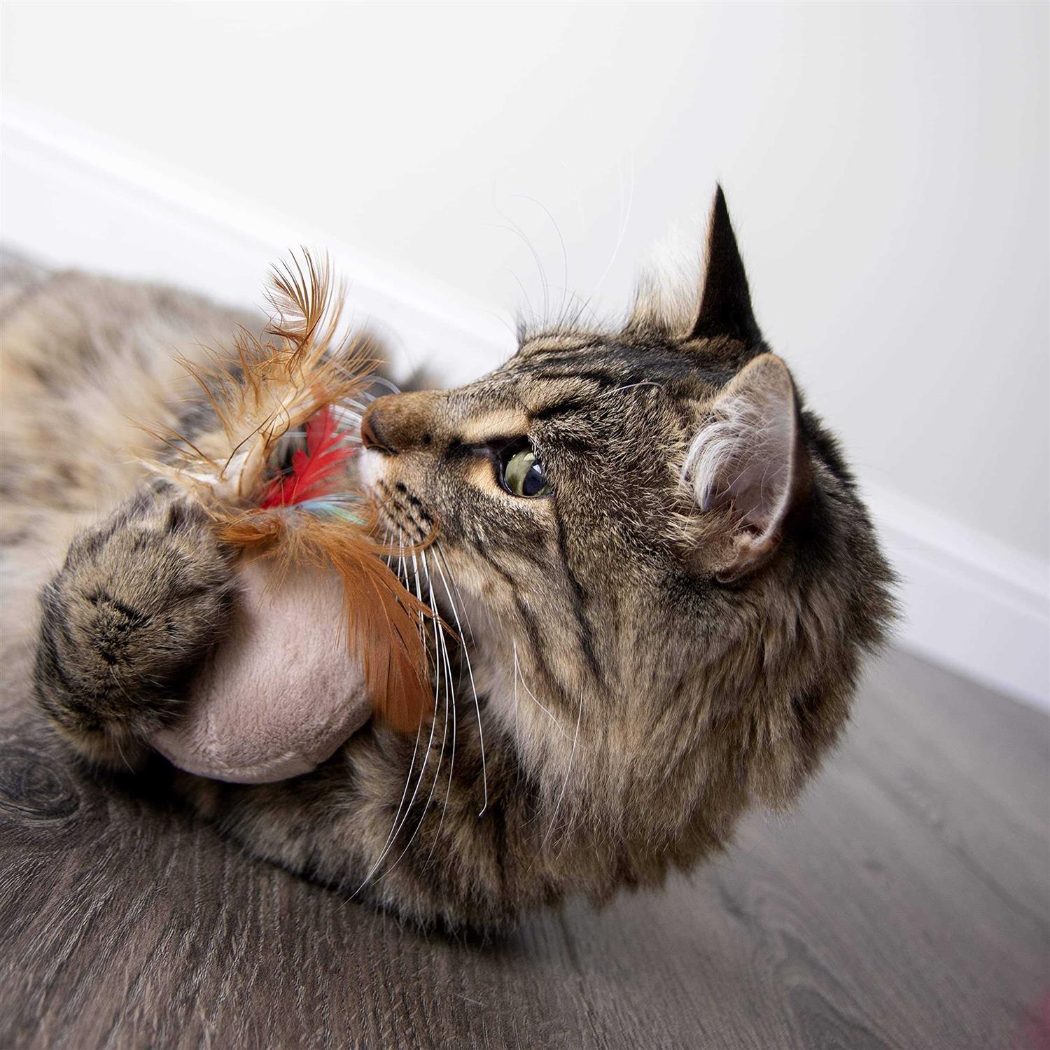 SmartyKat Chit Chatter Electronic Sound Cat Toy - Nail Gallerys