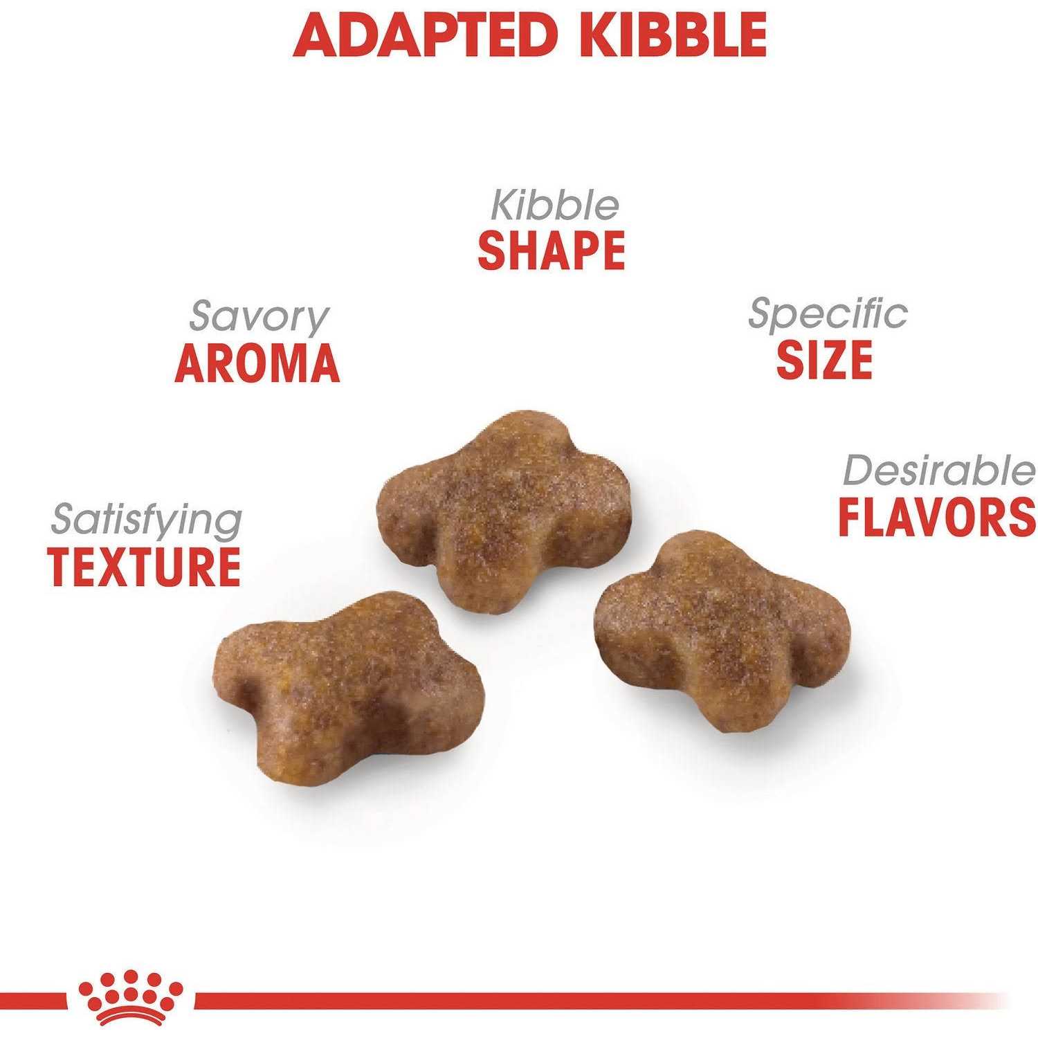 Royal Canin Kitten Feline Health Nutrition Kitten Dry Food - Nail Gallerys