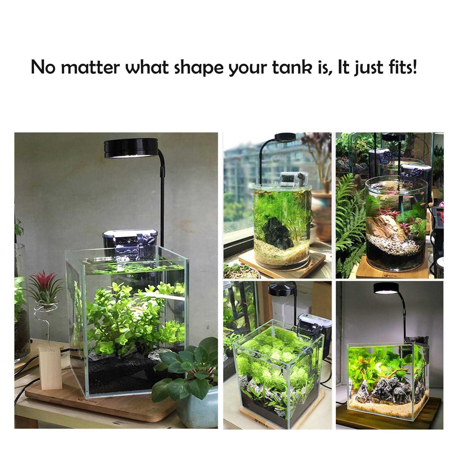 HIRO Aquatics Full Spectrum LED Light with Bamboo Board fits Aquarium Nano Tank - Nail Gallerys