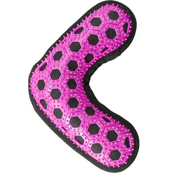 Hill’s Science Diet Kitten No Corn Wheat or Soy Dry Cat Food - Nail Gallerys