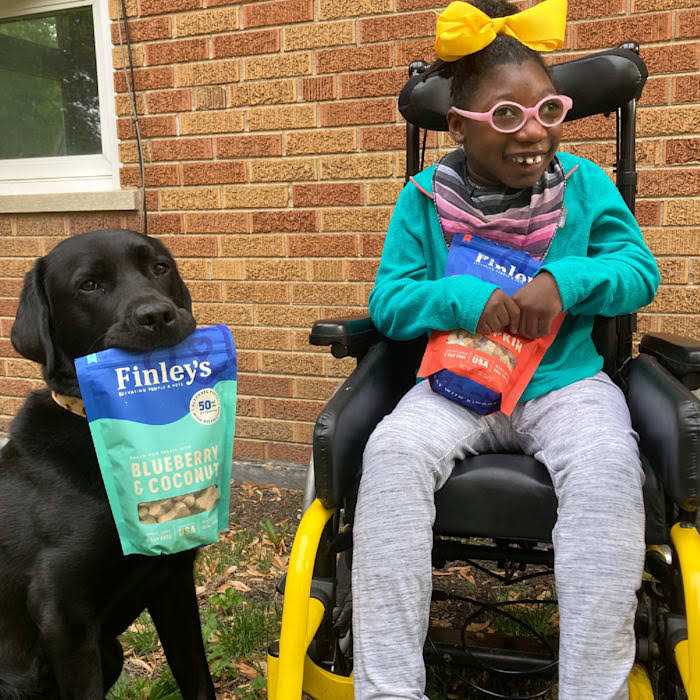 Finley’s Soft Chew Dog Treats Training Bites - Nail Gallerys