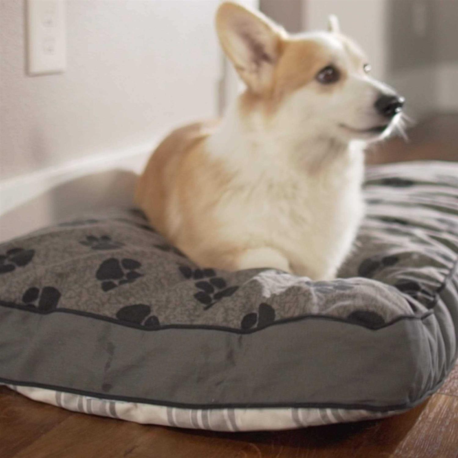 MyPillow Dog Bed - Nail Gallerys