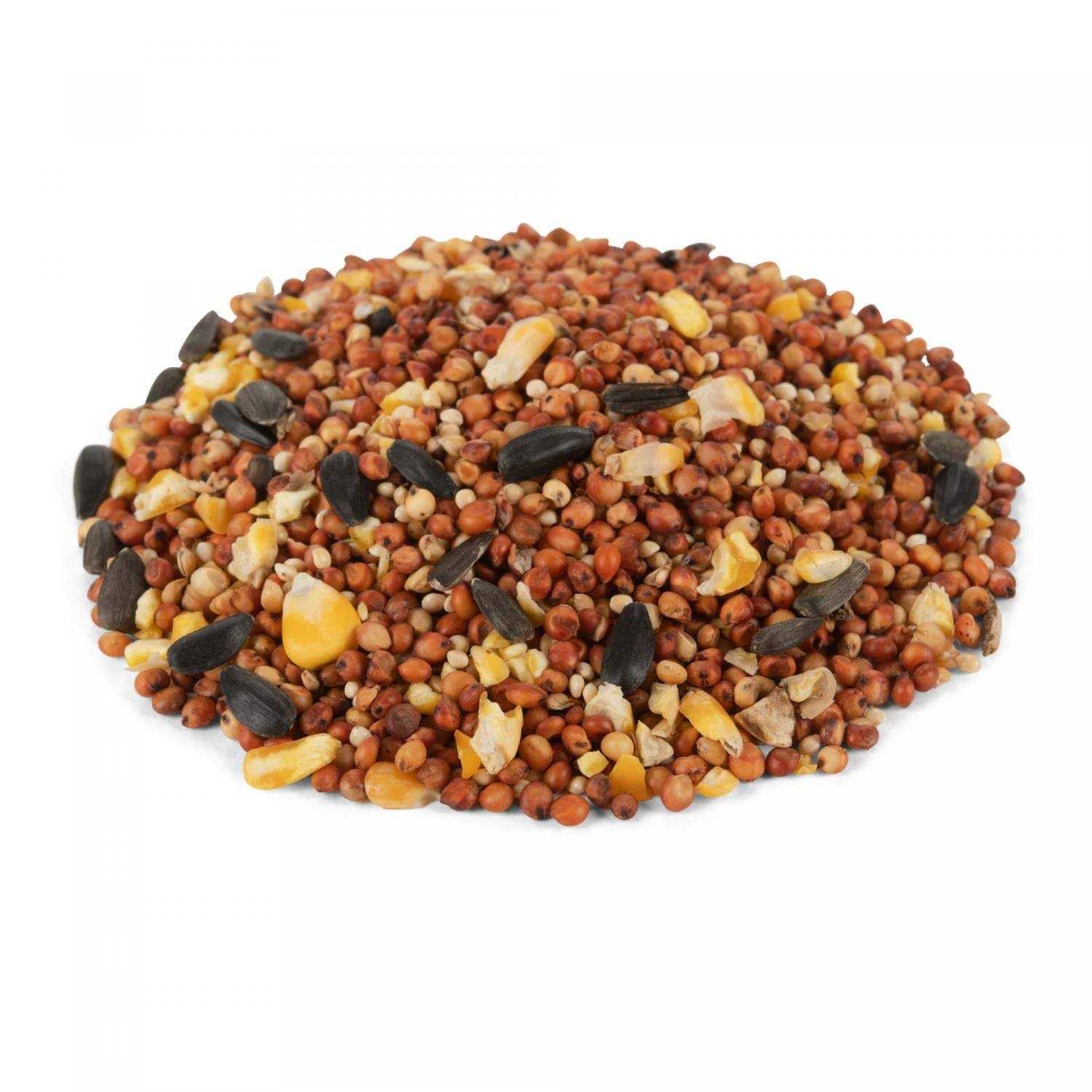 Global Harvest Foods Economy Mix Wild Bird Feed - Nail Gallerys