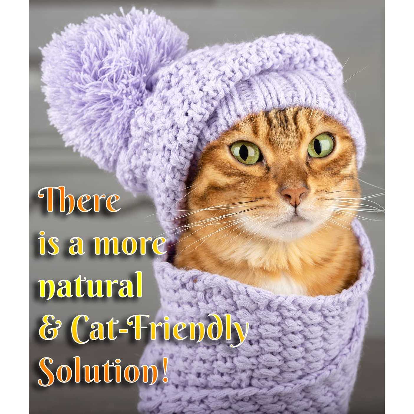 Pet MasterMind Fluffy Feline Cat Dandruff Care Spray - Nail Gallerys