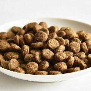 Go! Solutions Skin + Coat Care Salmon Recipe Dry Dog Food - Nail Gallerys