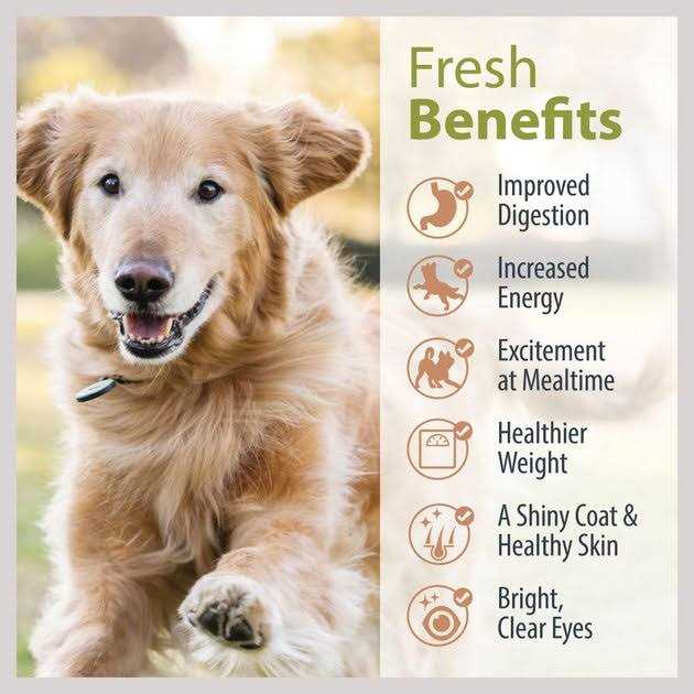 JustFoodForDogs Pantry Fresh Beef Chicken Variety Pack Dog Fresh Food - Nail Gallerys