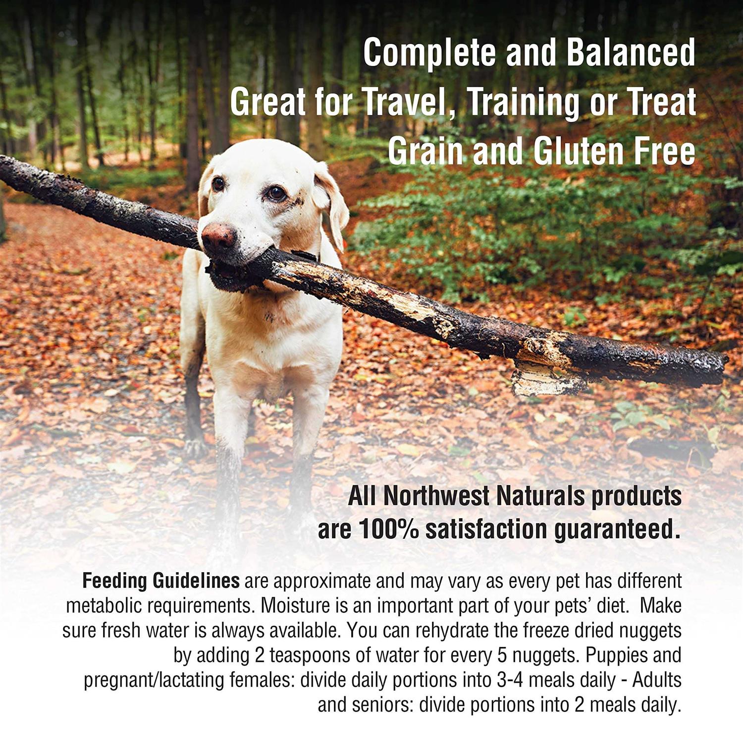 Northwest Naturals Freeze-Dried Nuggets Raw Dog Food - Nail Gallerys