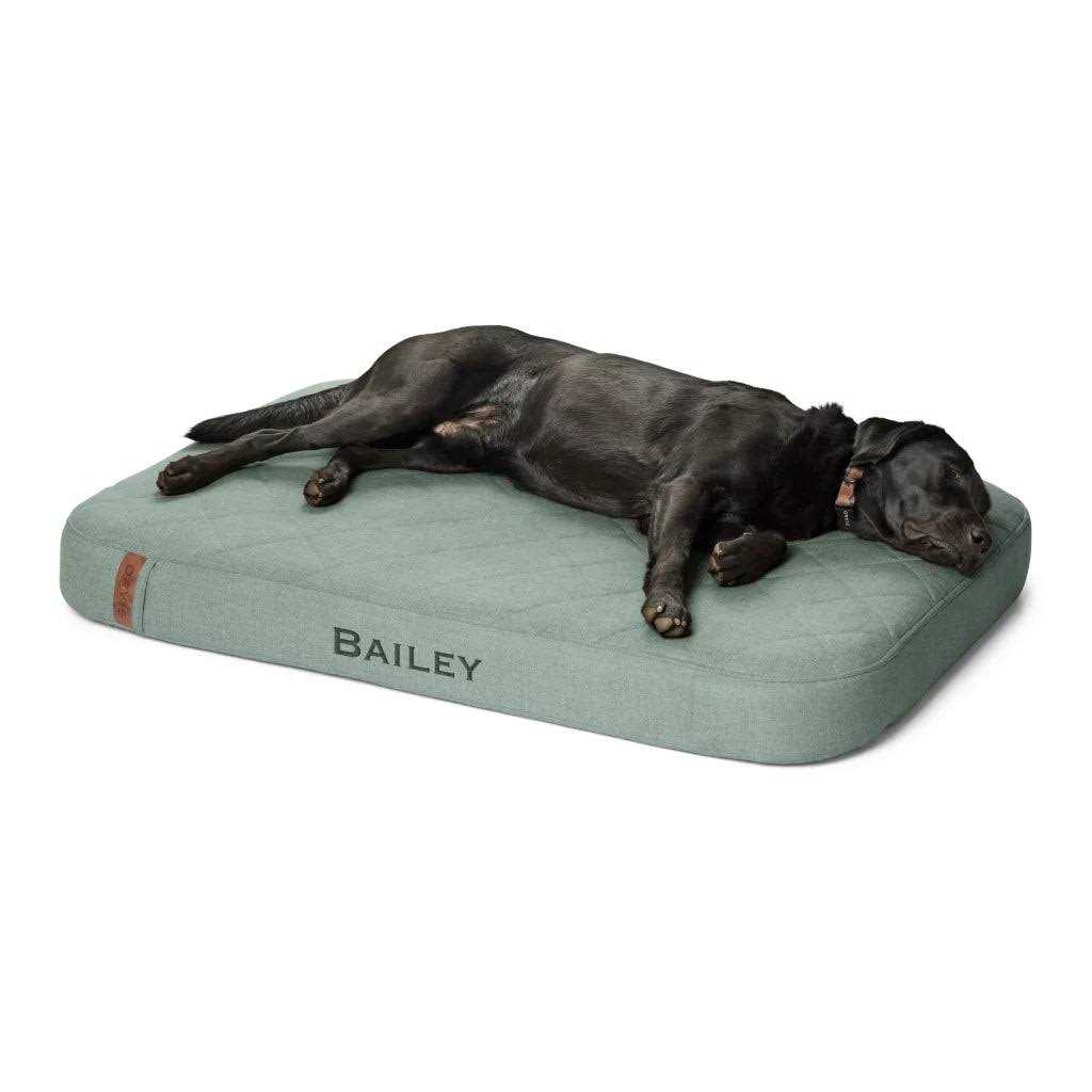 Orvis RecoveryZone Lounger Dog Bed - Nail Gallerys