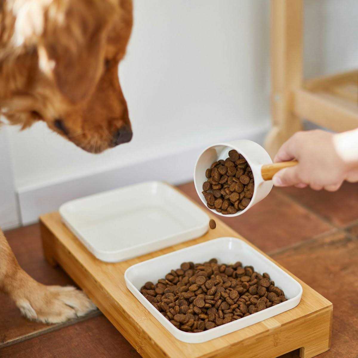 Frisco Melamine Dog & Cat Food Scoop with Bamboo Handle - Nail Gallerys