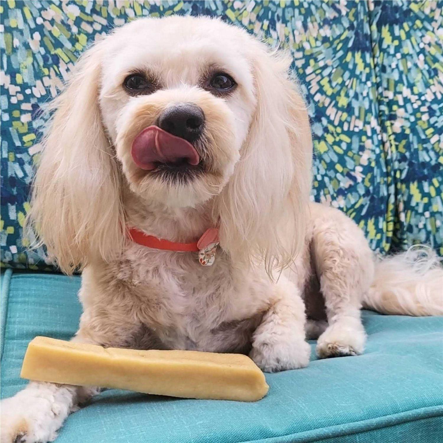 Paw Love Cheesy Dog Chew - Nail Gallerys