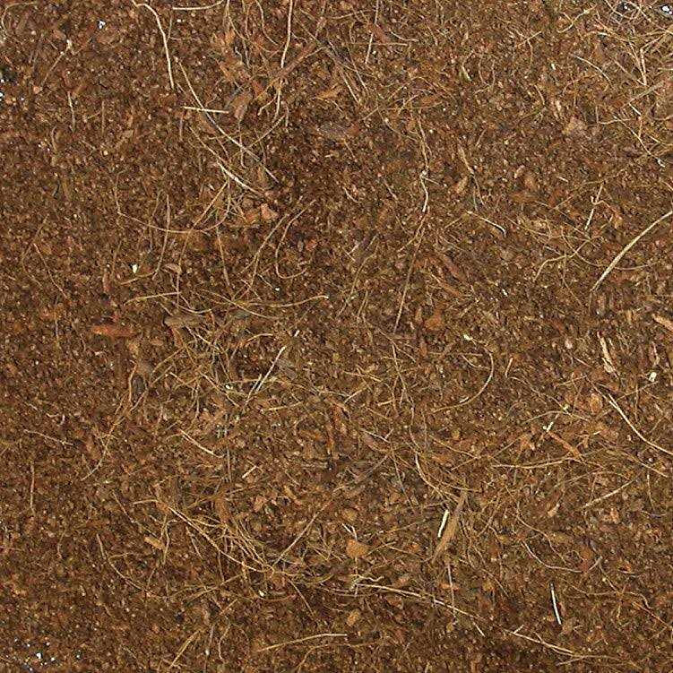 Zoo Med Eco Earth Loose Coconut Fiber Substrate - Nail Gallerys