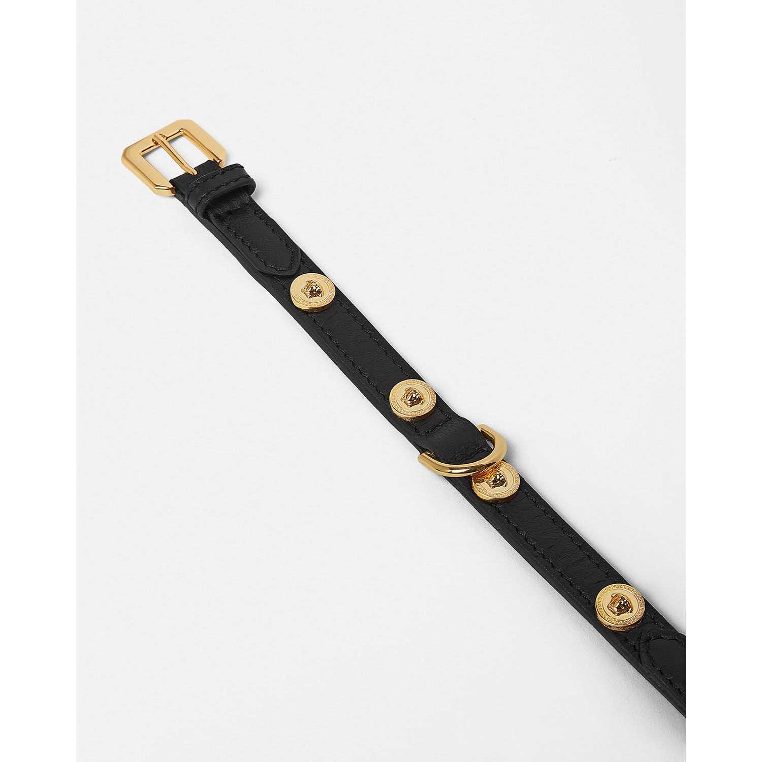 Versace Icon Small Pet Collar - Nail Gallerys