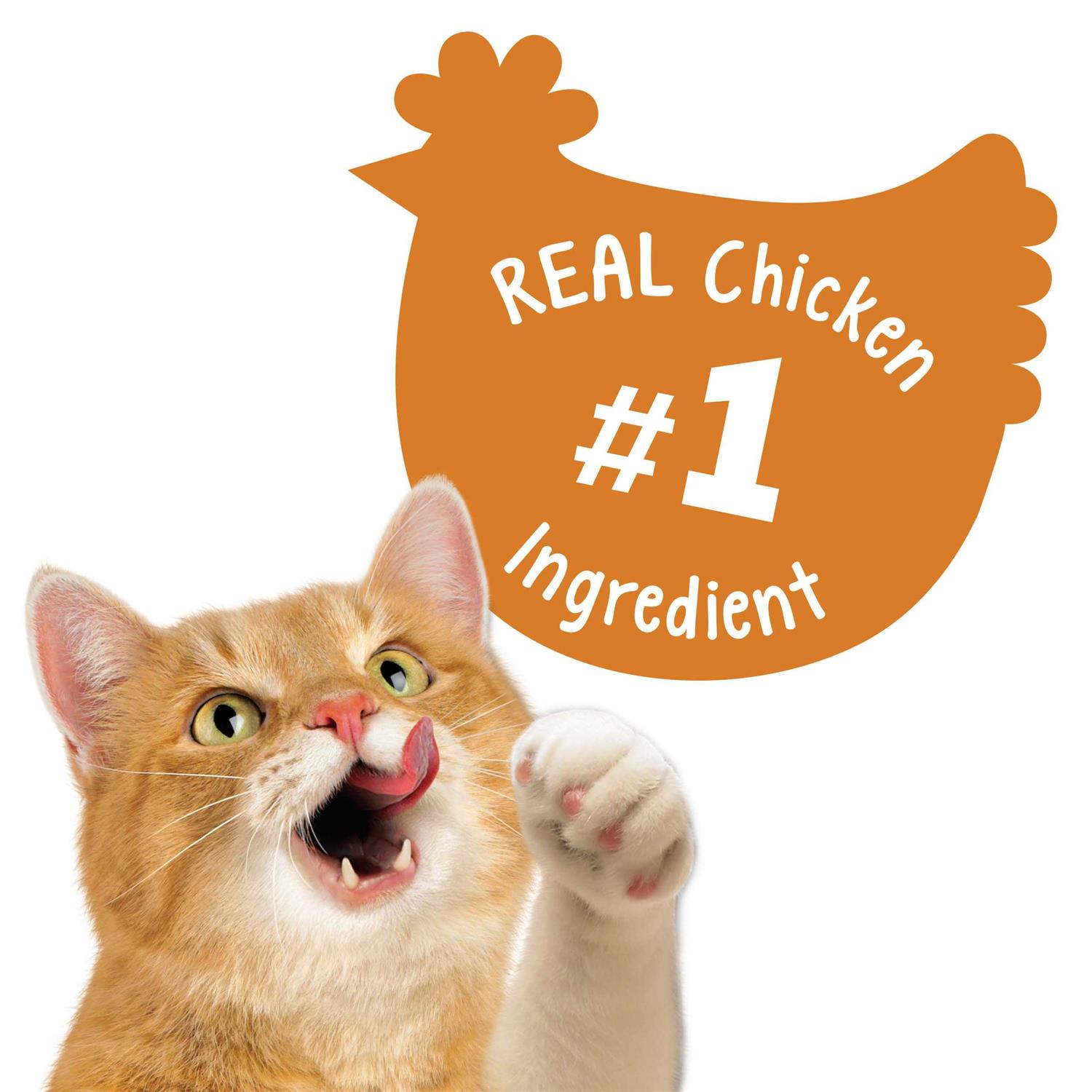 Purina Friskies Cat Treats Party Mix Chicken Lovers Crunch - Nail Gallerys