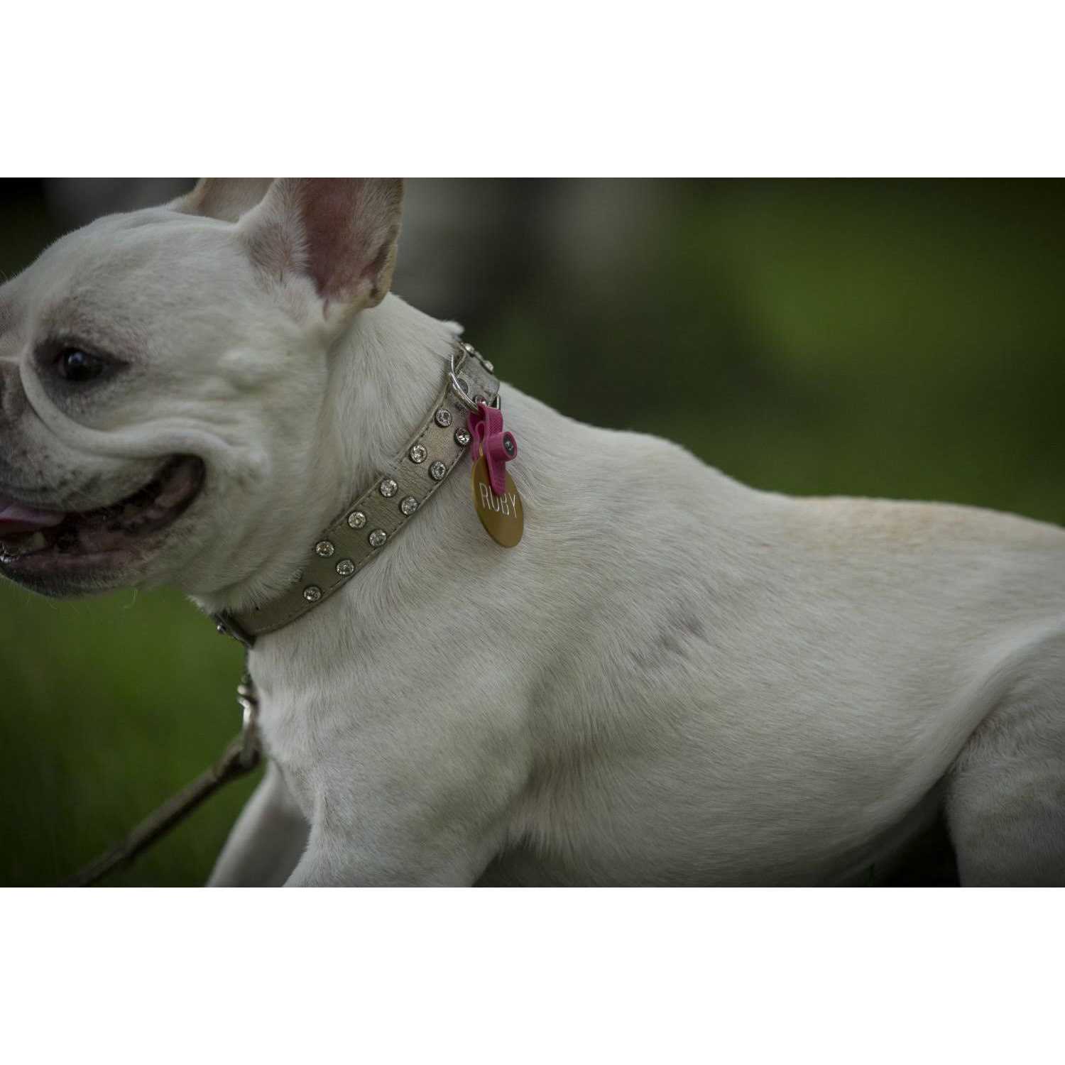 FreezeTag Dog Tag Silencer and Connector - Nail Gallerys