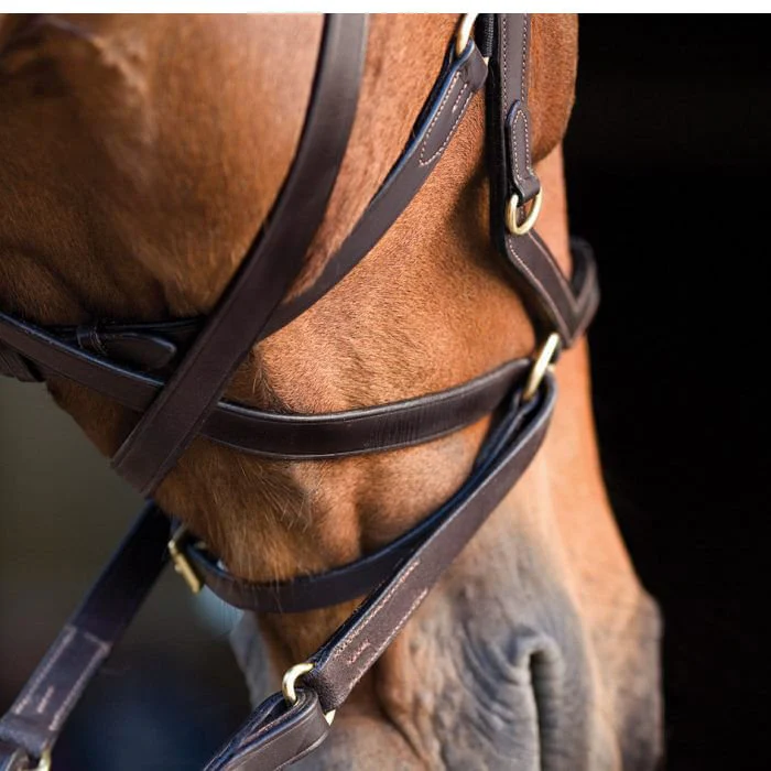 Rambo Micklem Multi Horse Bridle, Dark Havana - Nail Gallerys