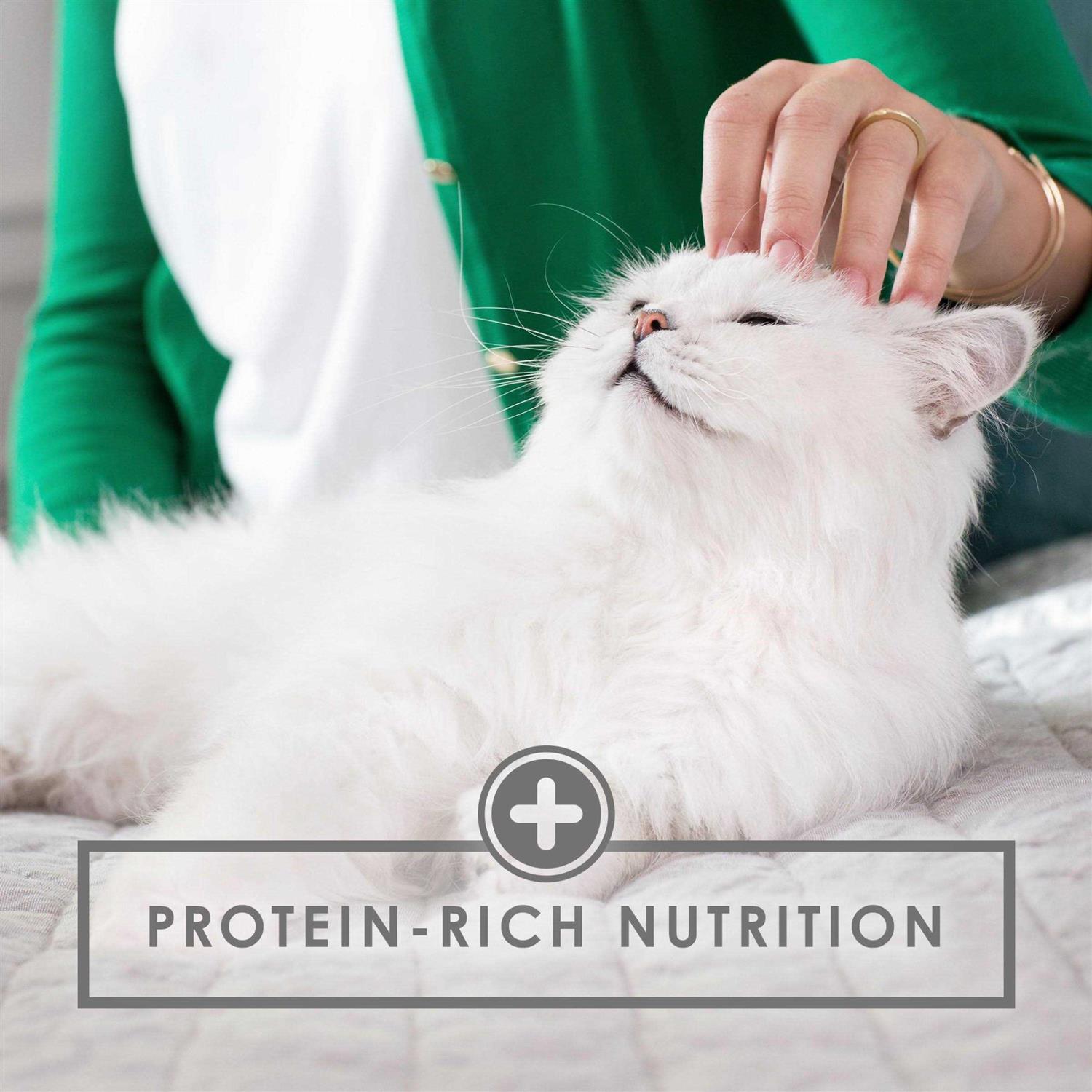 Fancy Feast Seafood Grilled Wet Cat Food - Nail Gallerys