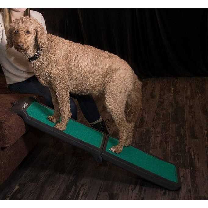 Pet Gear Bi-Fold Travel Lite Ramp with supertraX - Nail Gallerys