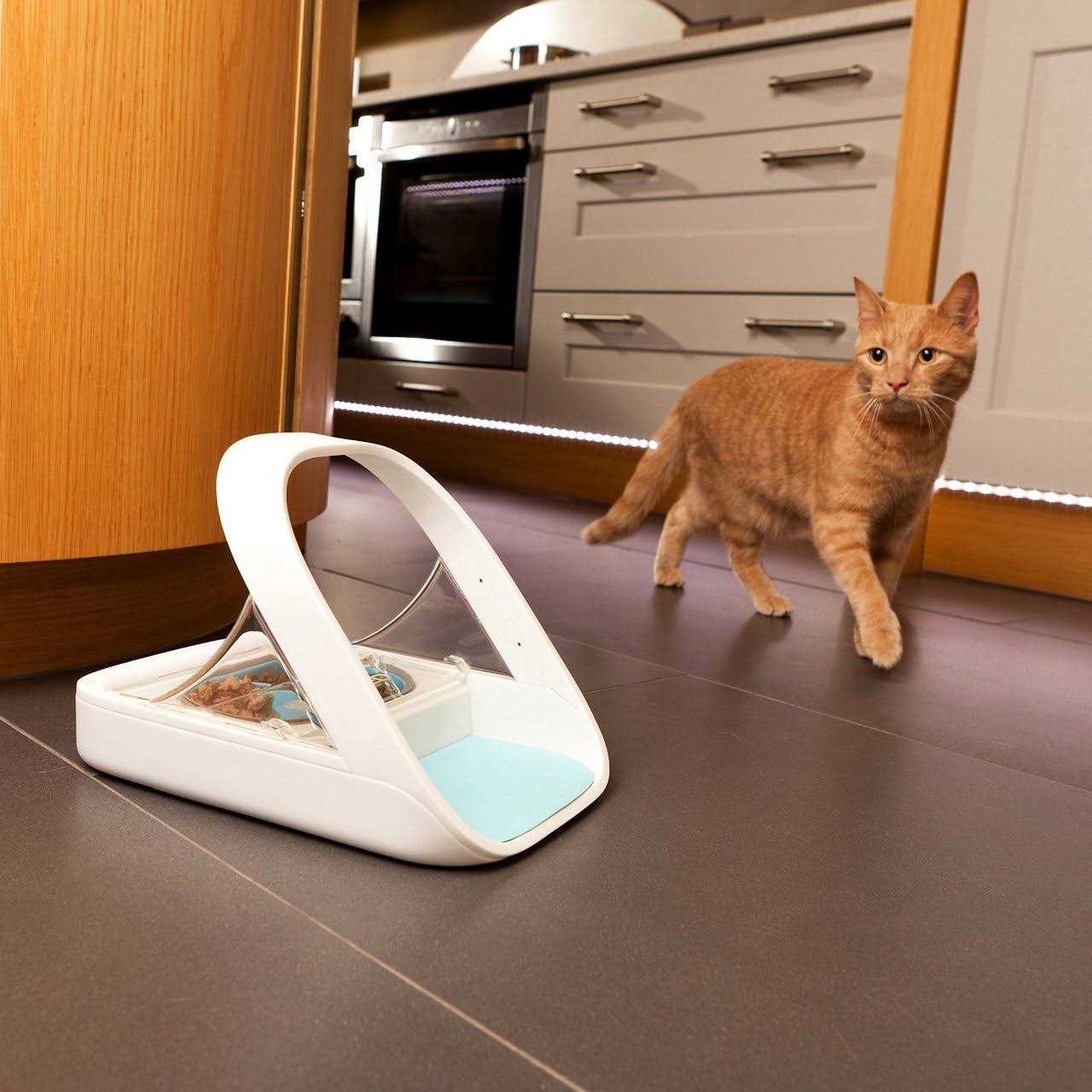 SureFlap SureFeed Microchip Pet Feeder - Nail Gallerys