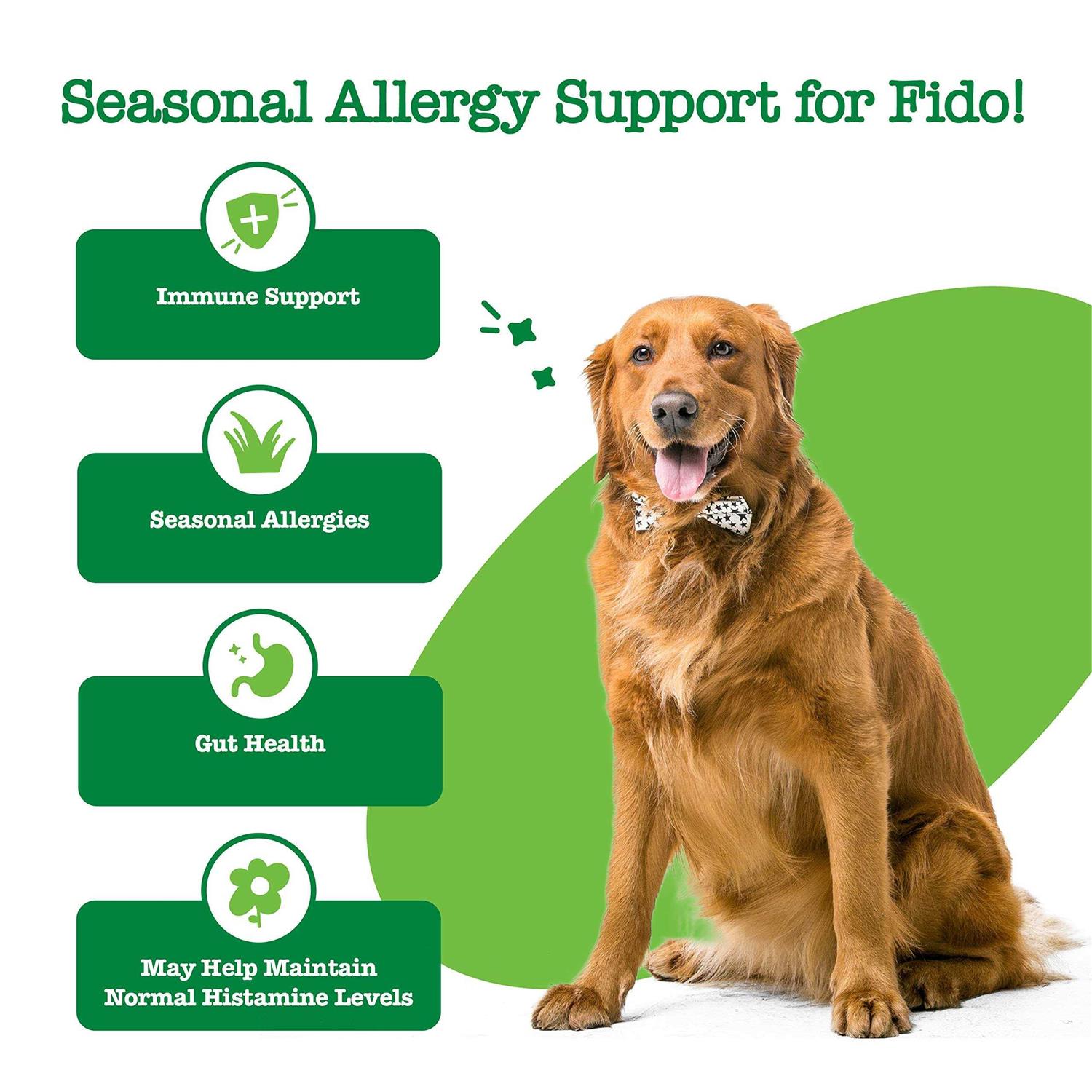 Zesty Paws Hemp Cheese Elements Allergy & Immune Bites for Dogs - Nail Gallerys