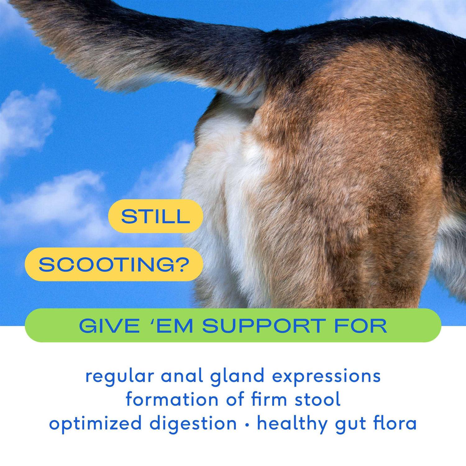 Native Pet GlandAid Anal Gland Supplement for Dogs - Nail Gallerys