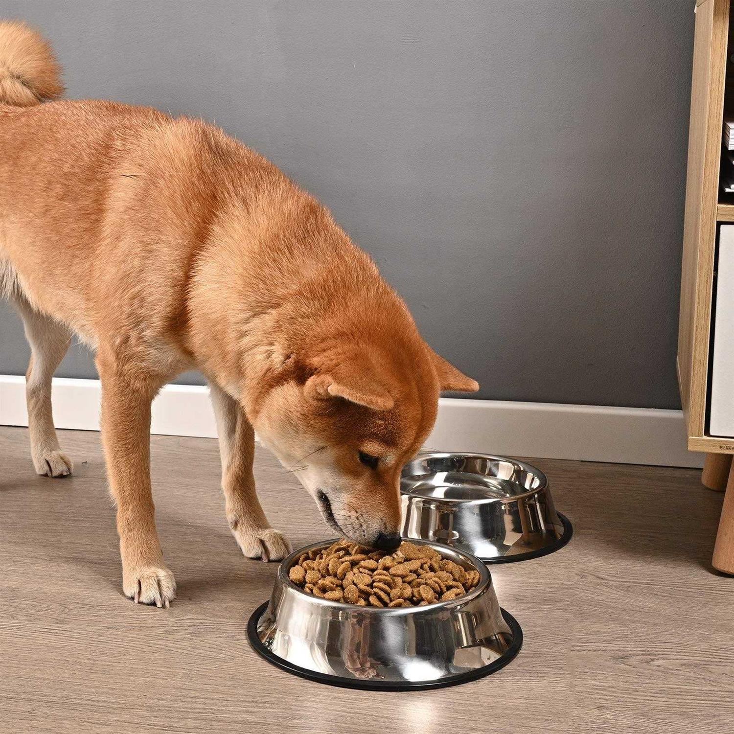 Juqiboom 2Packs Stainless Steel Dog Bowl with Anti-Skid Rubber Base for Small/Medium/Large Pet, Perfect Dish, Pets Feeder Bowl and Water Bowl Perfect Choice - Nail Gallerys