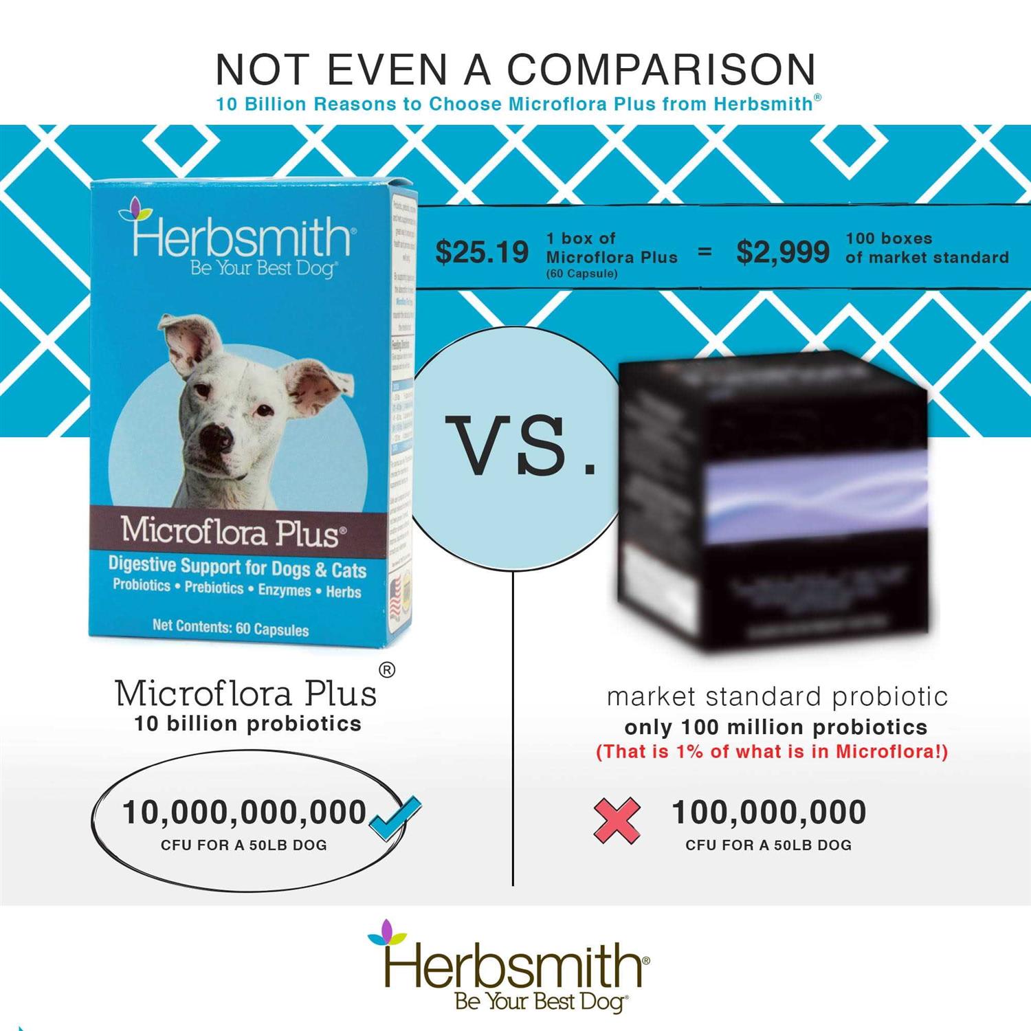 Herbsmith Microflora Plus for Digestion - Nail Gallerys