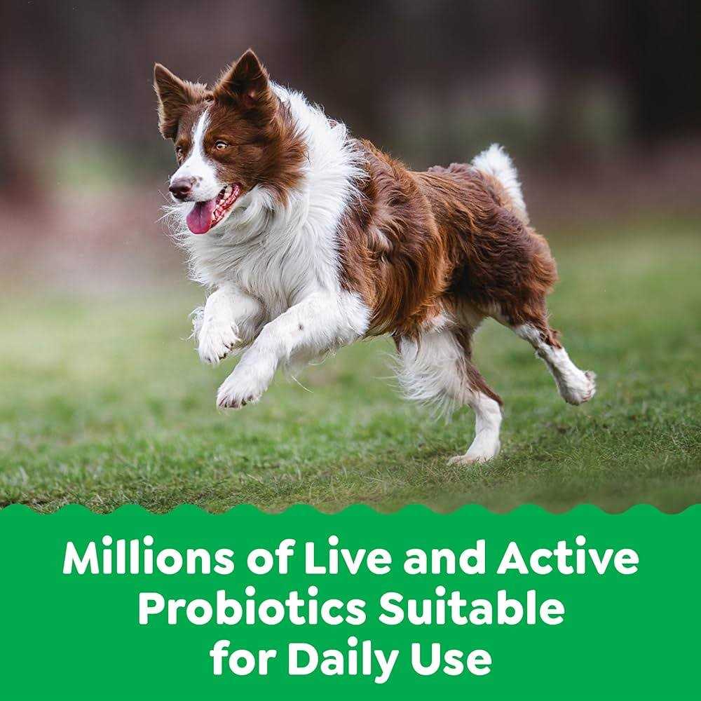 Greenies Supplements Digestive Health Probiotics for Dogs Chicken Flavor - Nail Gallerys