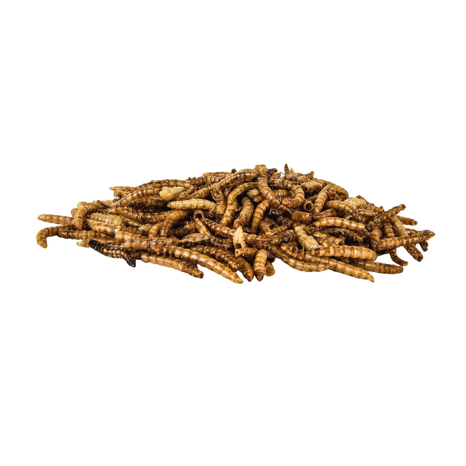 Pennington Mealworms Wild Bird Food - Nail Gallerys