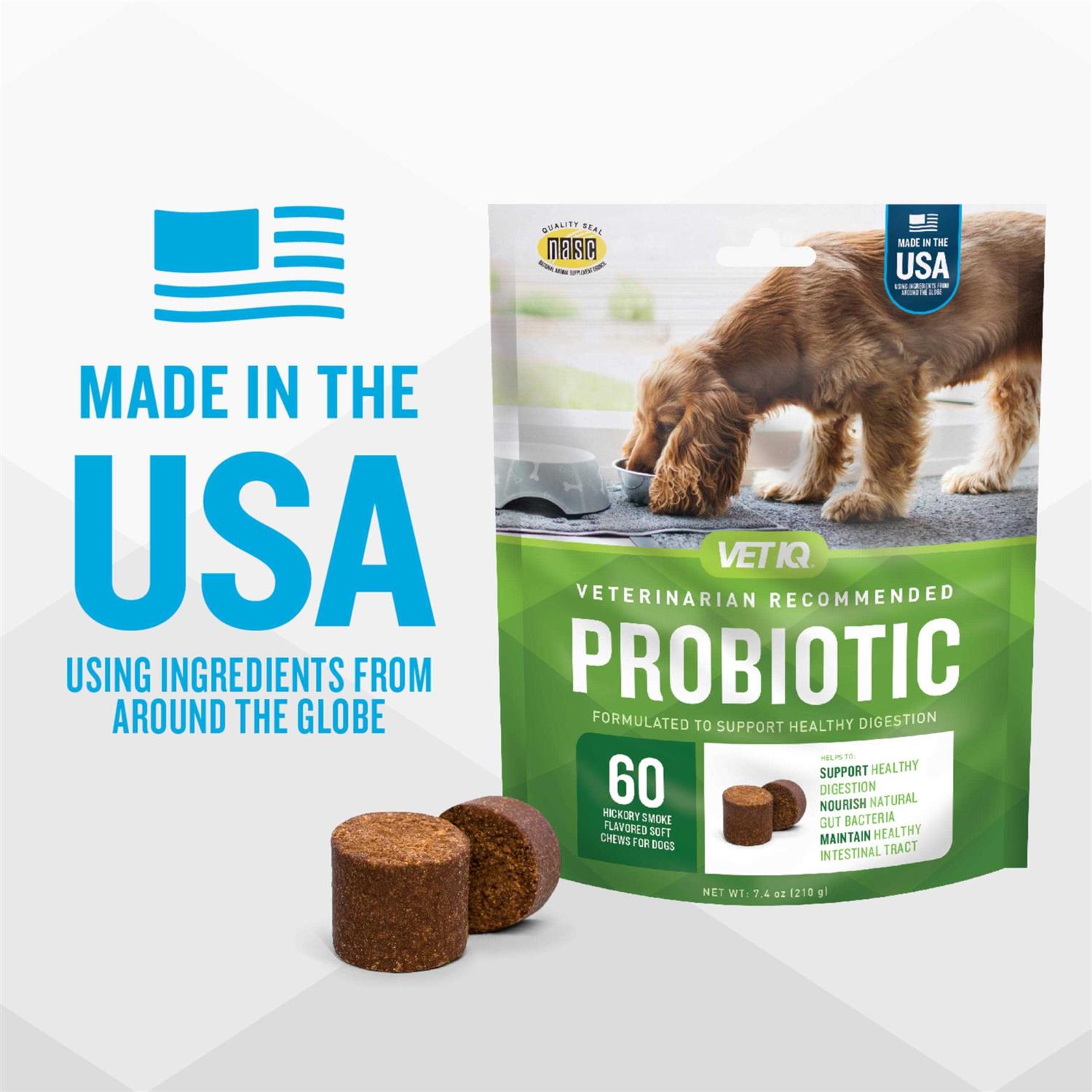 VetIQ Probiotic Soft Chew Supplement for Dogs - Nail Gallerys