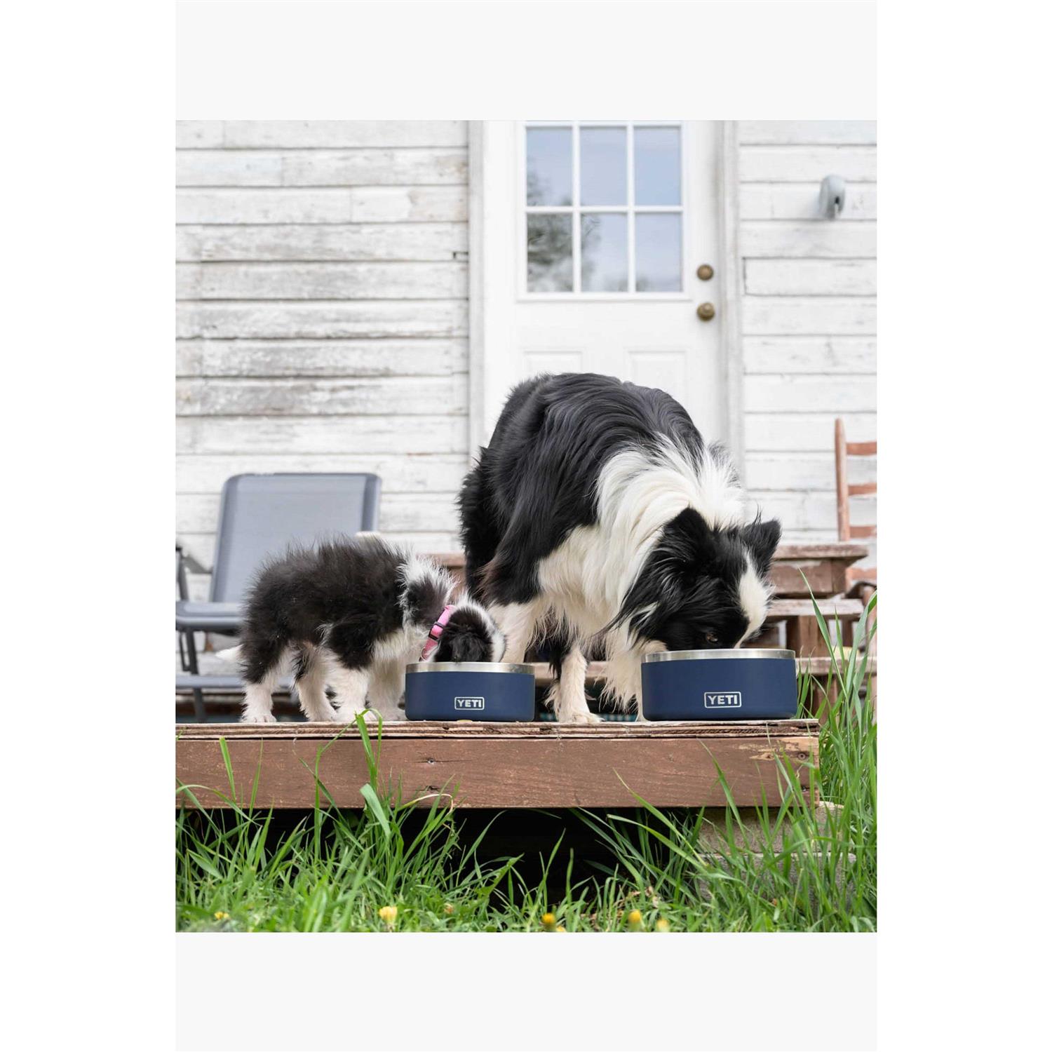 Boomer Dog Bowl Yeti - Nail Gallerys