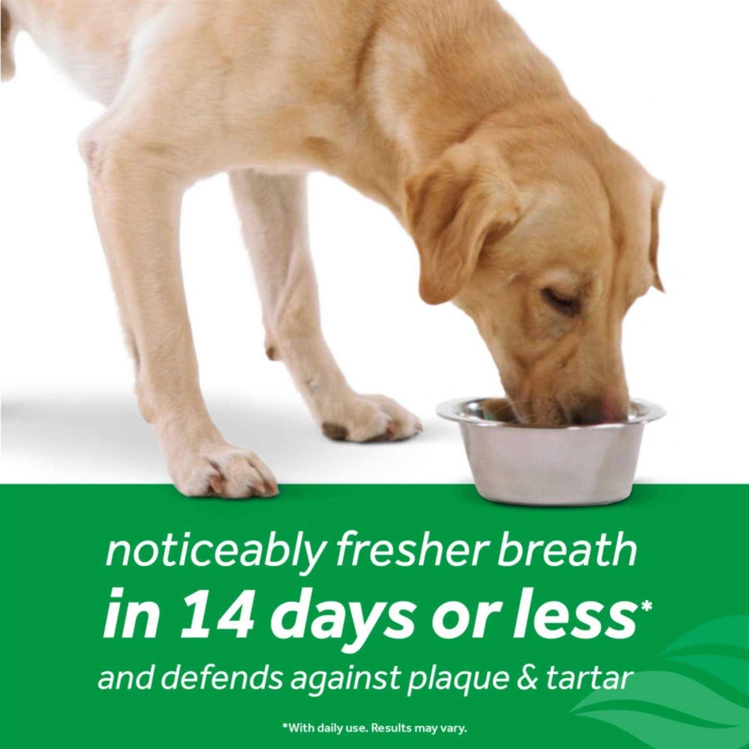 Tropiclean Fresh Breath Oral Care Dog Water Additive - Nail Gallerys