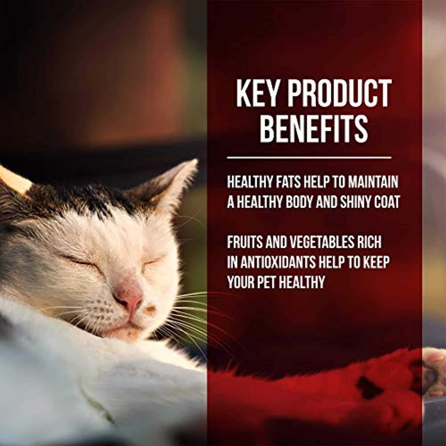 Fussie Cat Dry Cat Food Market Fresh Chicken Turkey - Nail Gallerys