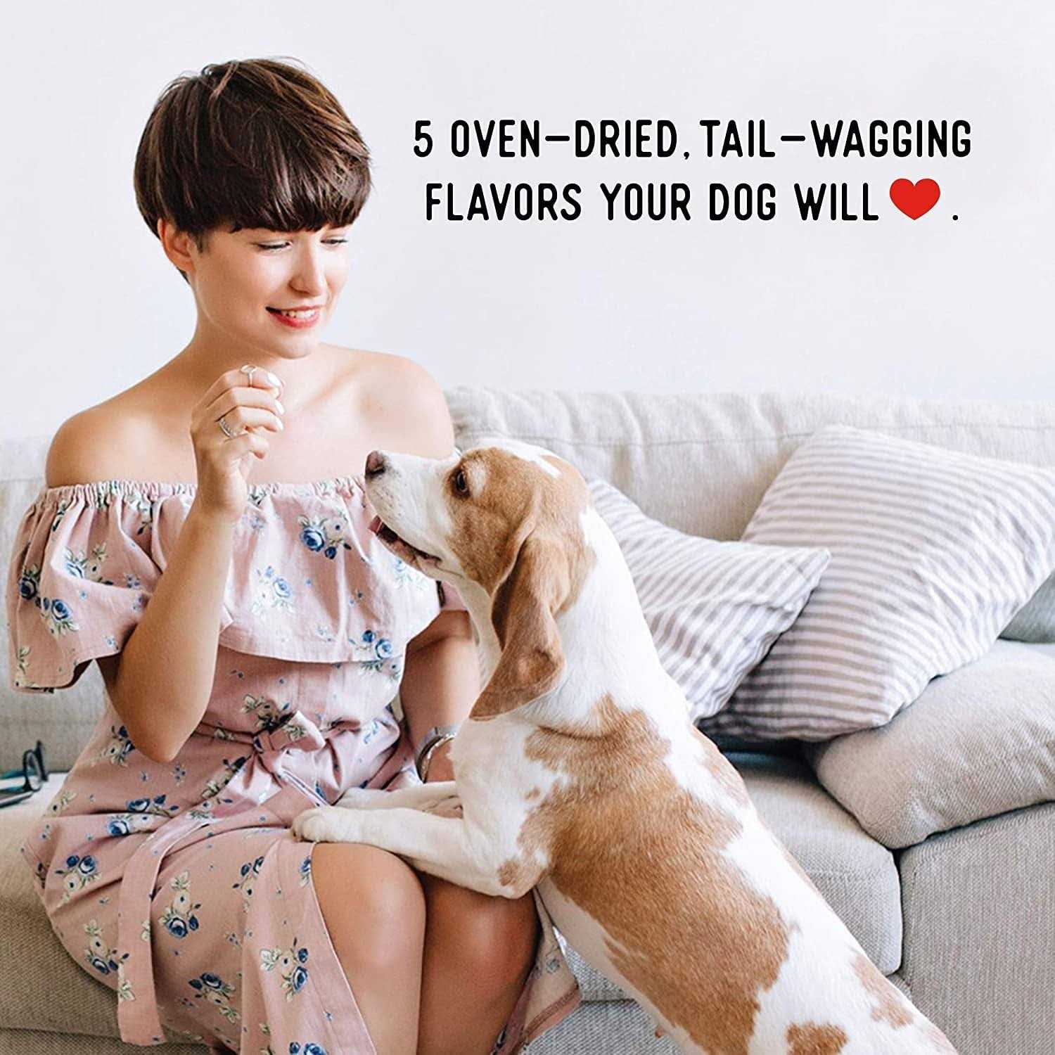 Farmland Traditions No Antibiotics Ever Chicken Jerky Dog Treats - Nail Gallerys