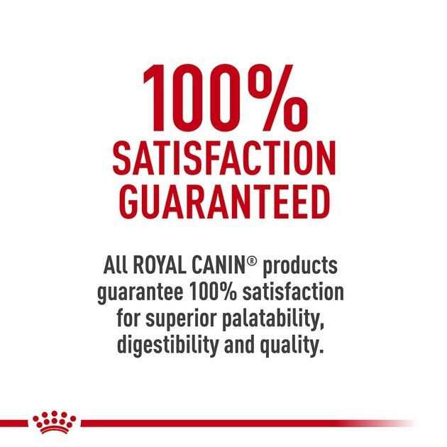 Royal Canin Veterinary Diet Adult Advanced Mobility Support Canned Dog Food - Nail Gallerys