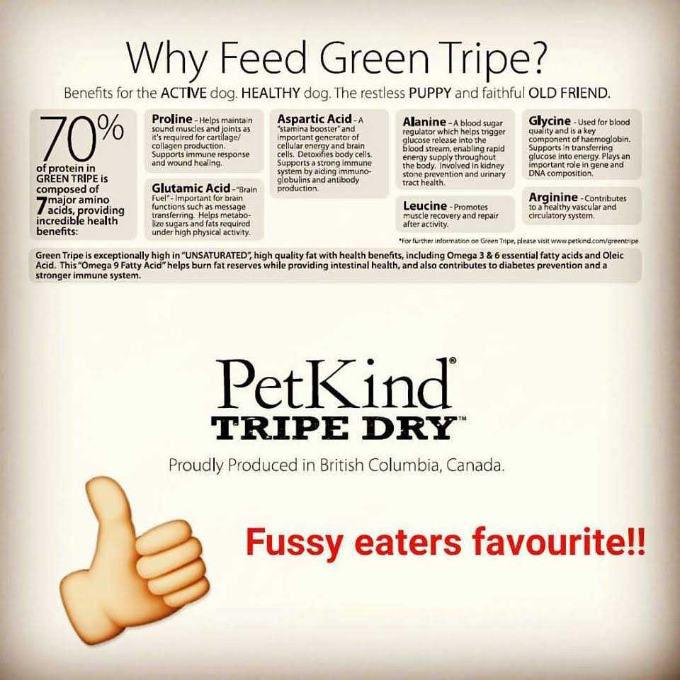 PetKind Tripe Dry Grain-Free Venison Tripe Formula Dry Dog Food - Nail Gallerys