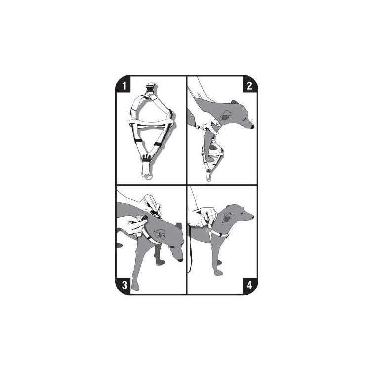 Vibrant Life Step-In Dog Harness - Nail Gallerys