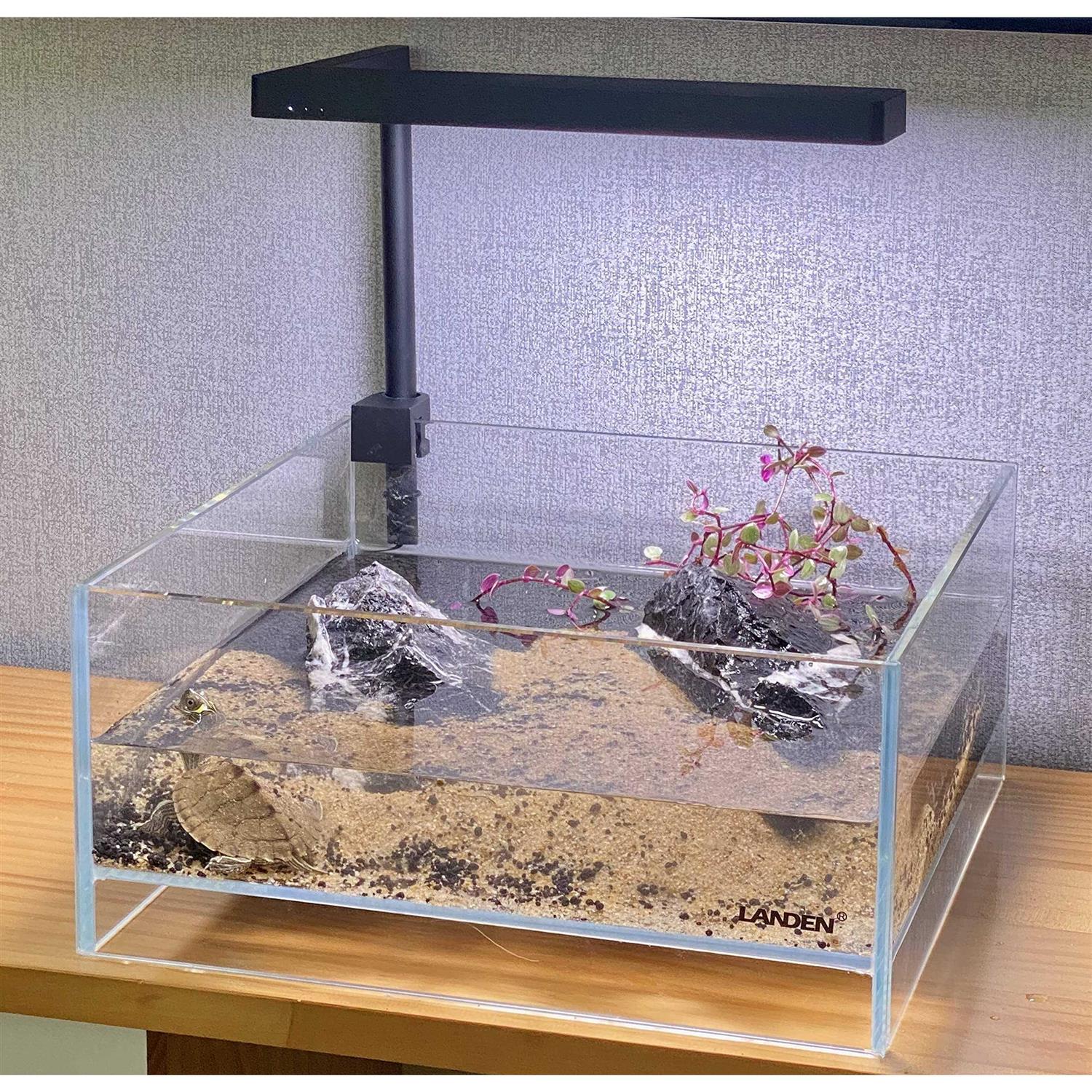 LANDEN Glass Air Aquarium Tank Multi-SceneLandscape Aquarium 1.6Gallon Rimless Low Iron Shallow Tank,W10.6×D10.6×H4.7 in 5mm Thickness - Nail Gallerys